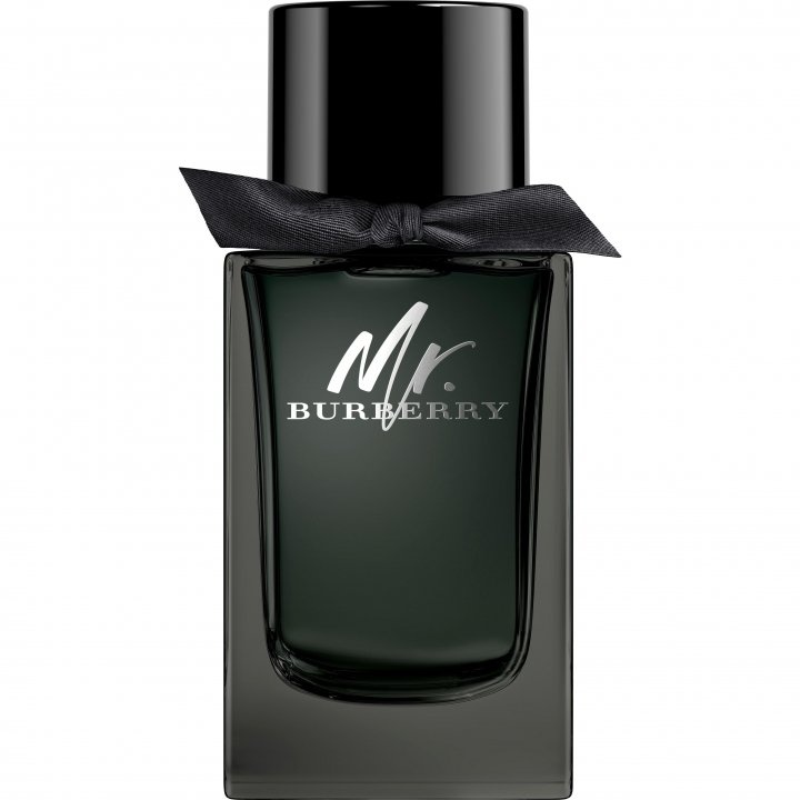 burberry mr. burberry